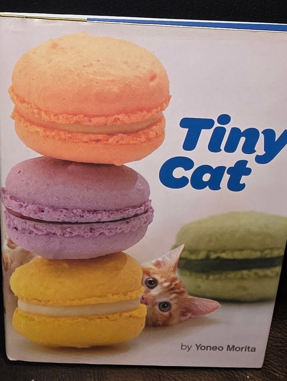 Tiny Cat Book - New